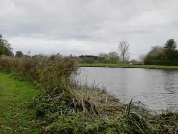 Gaasbeek + Kasteel van Gaasbeek (Lennik, België)